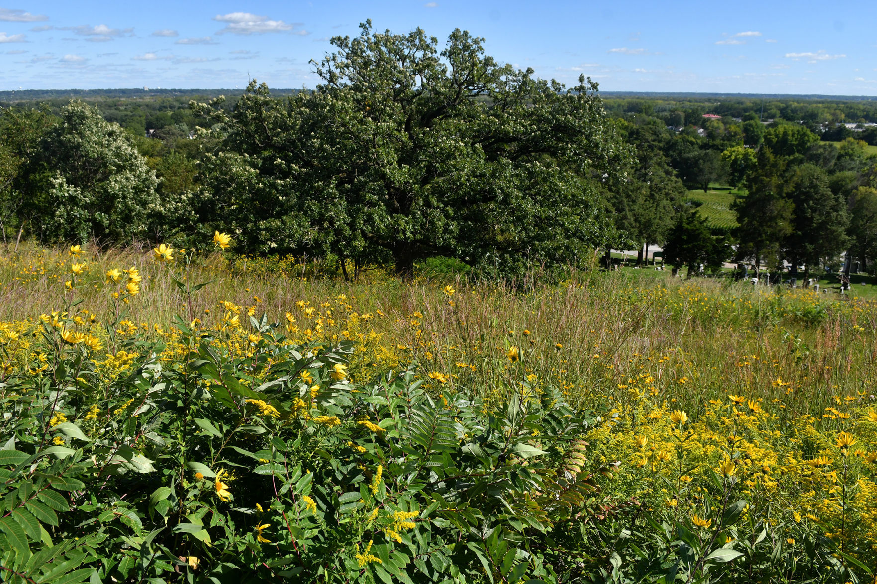 Davenport Fairmount Cemetery prairie